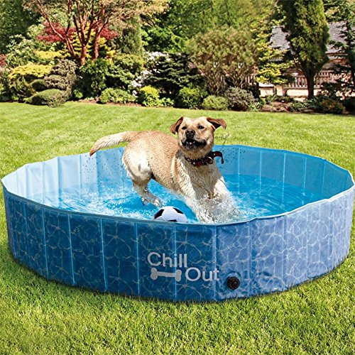 Portable dog hot sale bath tubs